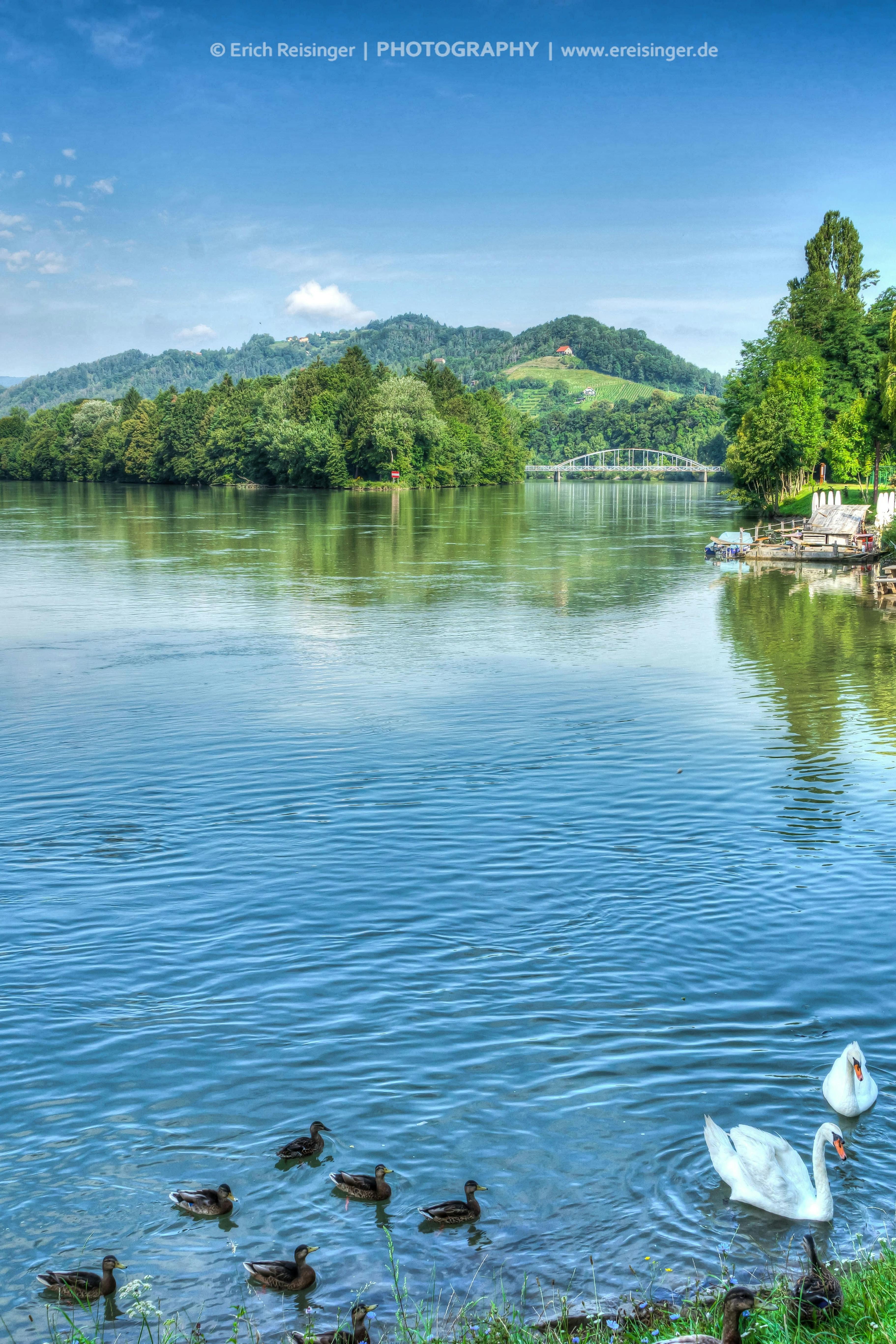River Drava Maribor